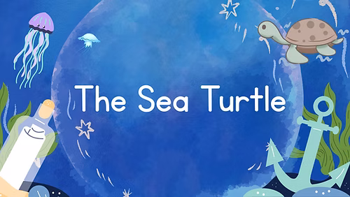 The Sea Turtle